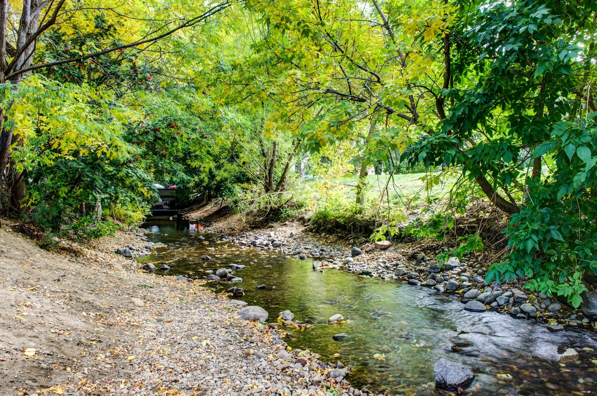 A wooded creek path through a Boulder park