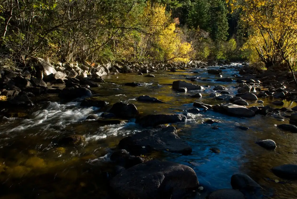 A Boulder County creek lined with autumn gold