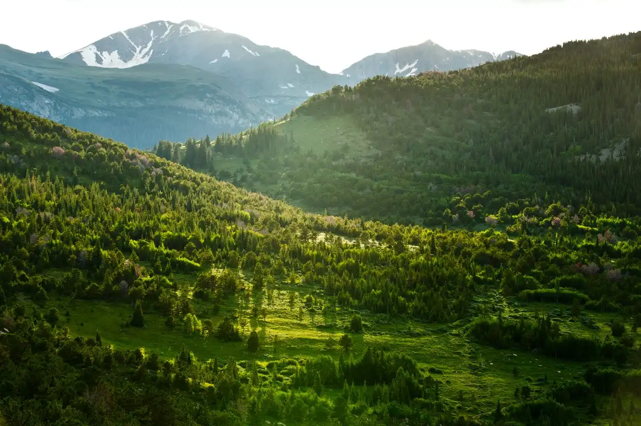 A green Boulder County valley below snow-dusted peaks